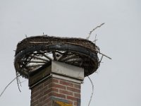 IMG 4615