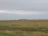 IMG 4626