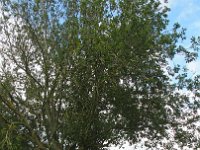 P8080027